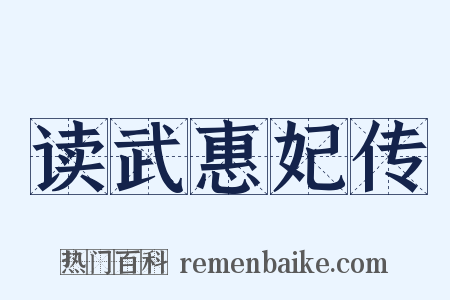 读武惠妃传是什么意思的图片